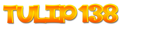 tulip138